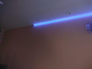 ライトアップICMFguitarおんさらい会